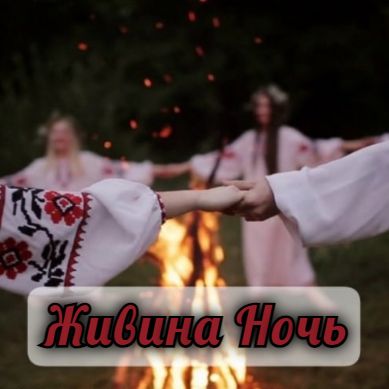 ЖИВИНА НОЧЬ.