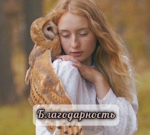 ПРАКТИКА "БЛАГОДАРНОСТЬ".