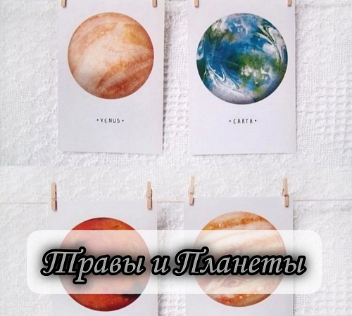 ТРАВЫ В АСТРОЛОГИИ. ТРАВЫ В АСТРОЛОГИИ.