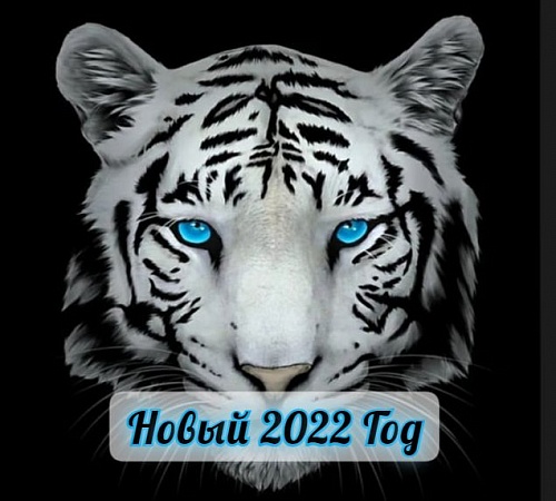 2022 ПО ВОСТОЧНОМУ КАЛЕНДАРЮ