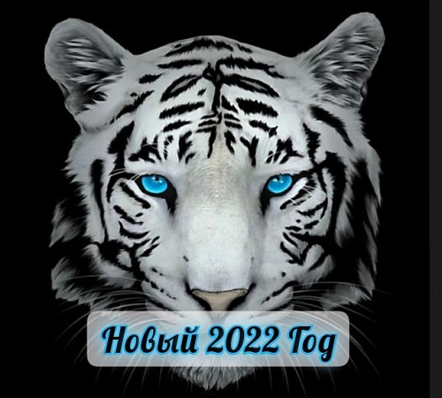2022 ПО ВОСТОЧНОМУ КАЛЕНДАРЮ 2022 ПО ВОСТОЧНОМУ КАЛЕНДАРЮ