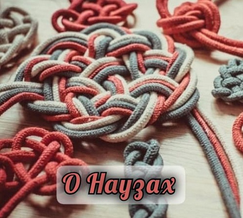 НАУЗЫ