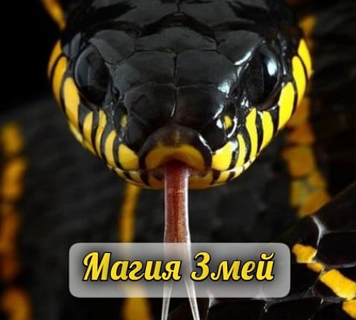 ЗМЕИ В МАГИИ. 
